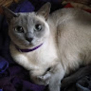 Meet your Posher, May